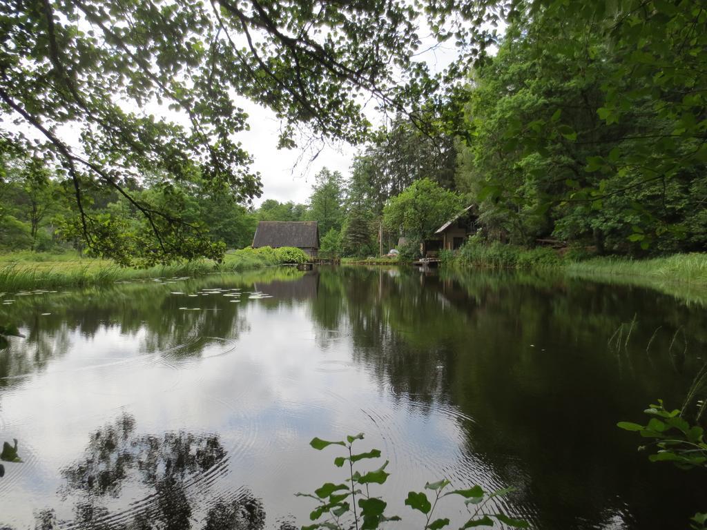 Mizarai Mill House Villa Druskininkai Bagian luar foto
